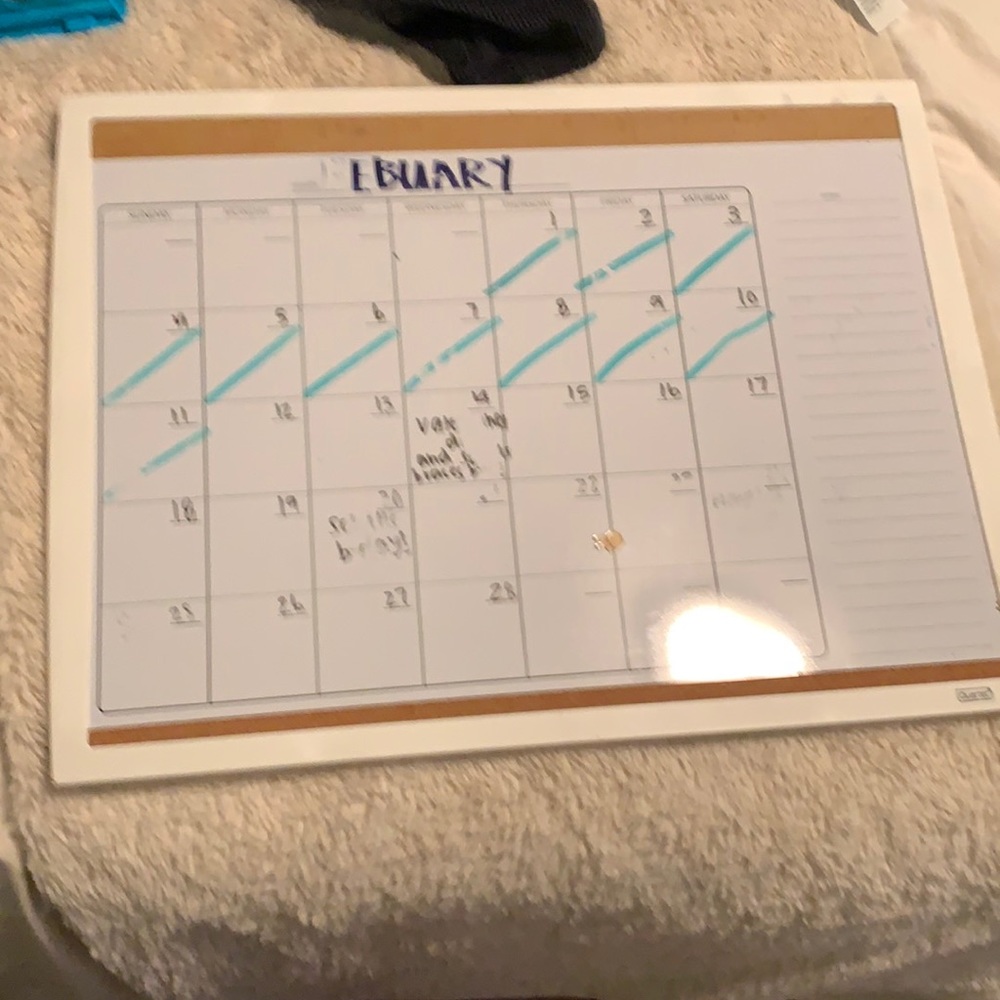 calendar will clean off